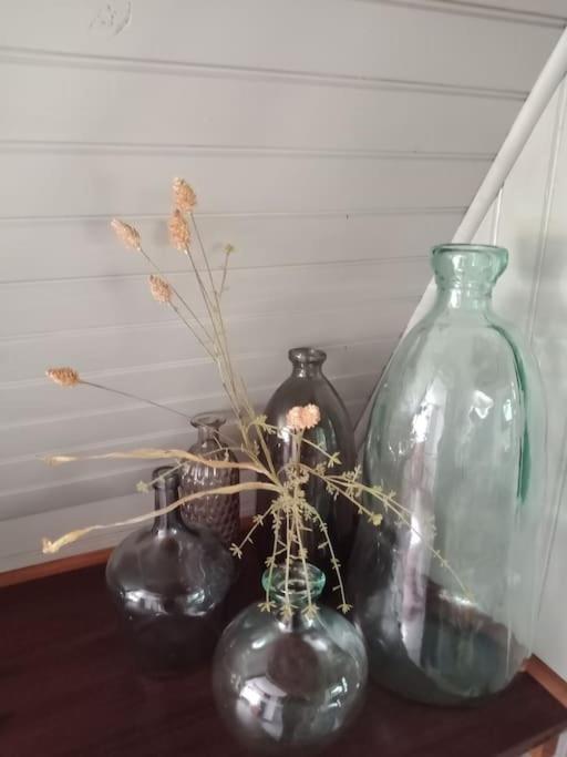 Micro Maison Isba Sedan Givonne Exteriör bild